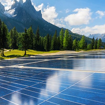 Commercial Solar Farms Can Save Your Business Money