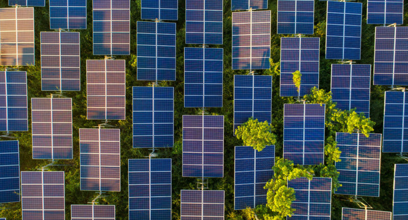 Solar Energy Providers: How Community Solar Compares