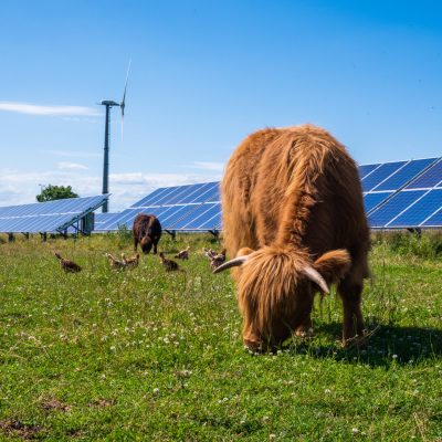 Environmental Impacts of Community Solar Farms