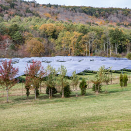 The First Open Community Solar Project Comes to NH