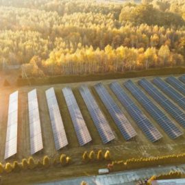 What Businesses Should Know Before Joining a Community Solar Program