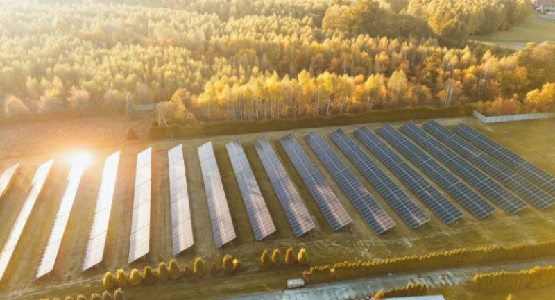 What Businesses Should Know Before Joining a Community Solar Program